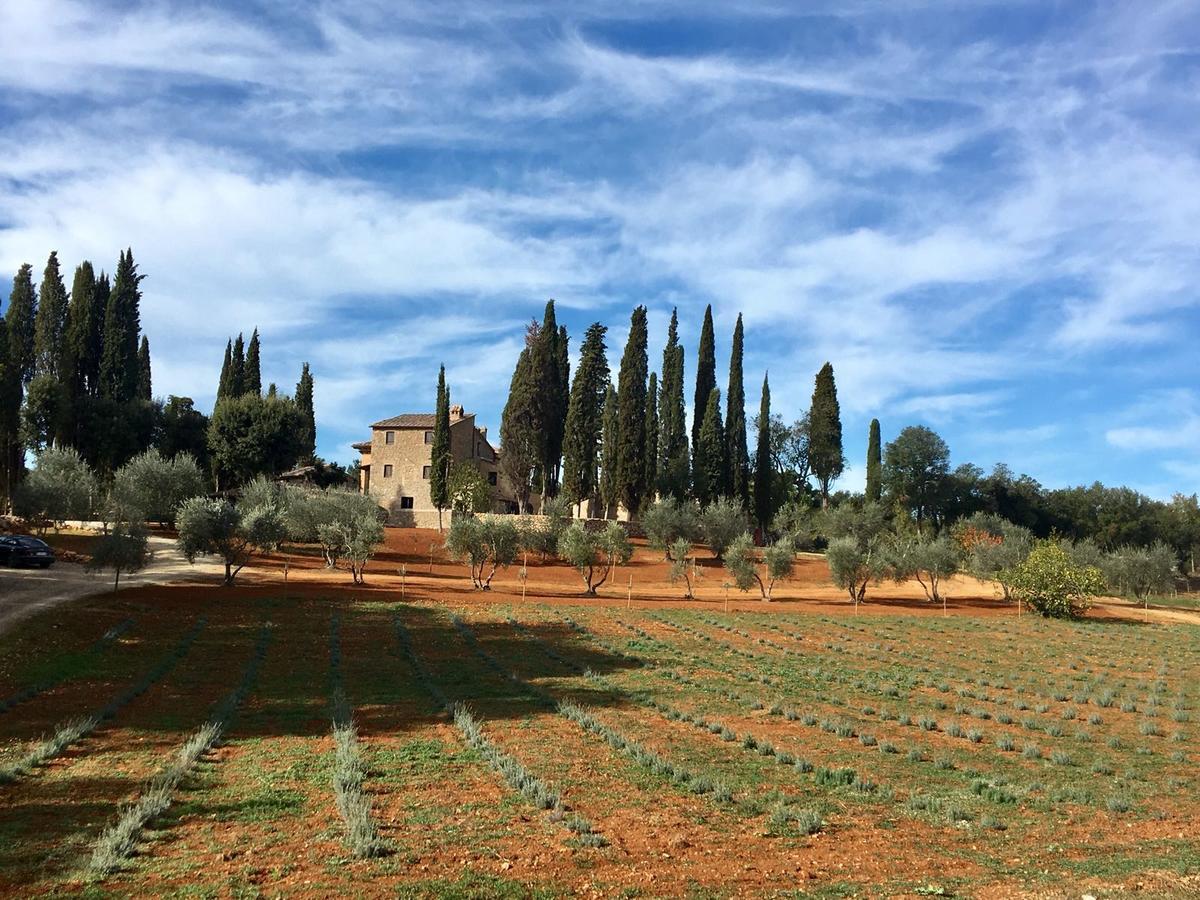 La Tenuta Di Castelvecchio San Gimignano Extérieur photo