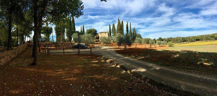La Tenuta Di Castelvecchio San Gimignano Extérieur photo